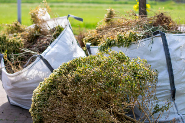 Best Trash Removal Near Me  in Orland Park, IL